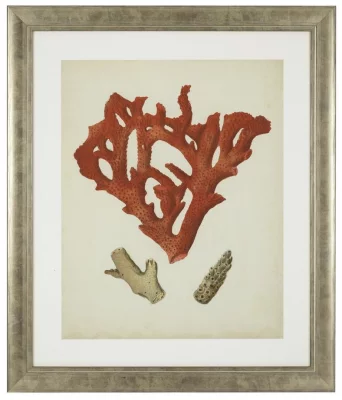Постеры Antique Red Corals 68X58 / 68X58 / 68X58 / 68X58 / 68X58 / 68X58 CM 4