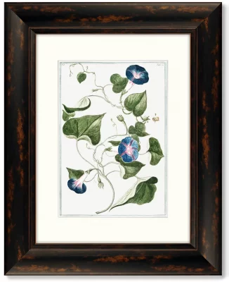 Диптих Botanical Maritimus 41X51 / 41X51 CM 4