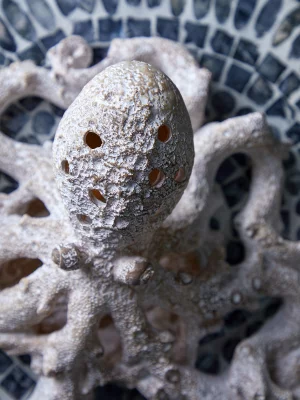 Декор настольный Coral Octopus 28X24X13 CM 8