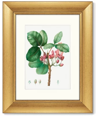 Диптих Lily magnolia & Pistaccia vera 41X51 / 41X51 CM 3