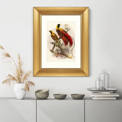 Постер Red Bird of Paradise 41X51 CM 3