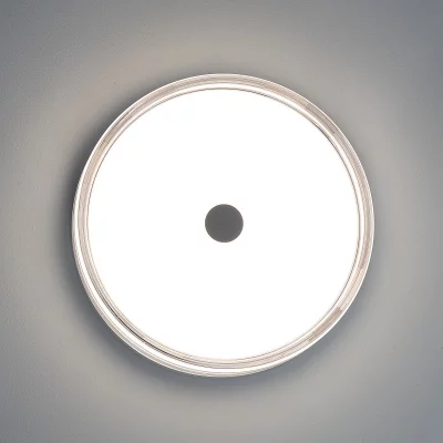 Накладной светильник Dixon 6