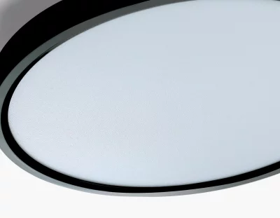 Накладной светильник Ambrella Light FZ3050 3