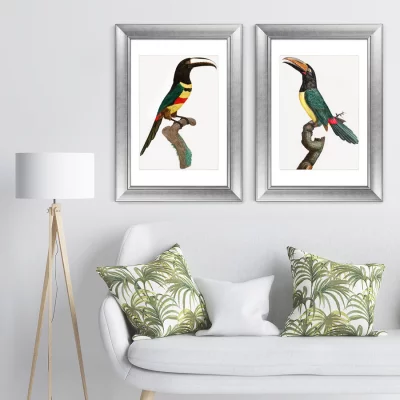 Диптих Black-necked Aracari 51X71 / 51X71 CM 5