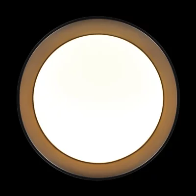Накладной светильник Coin 6