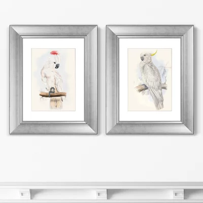 Диптих White cockatoo 41X51 / 41X51 CM 4