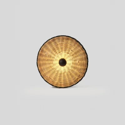 Настенно-потолочный светильник Costas 40X14 CM 3