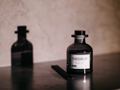 Диффузор THEDROP 100 мл 5,7X5,7X20 CM 3