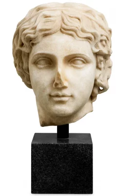 Декоративный элемент Bust of a youth 21X24X38 CM 4