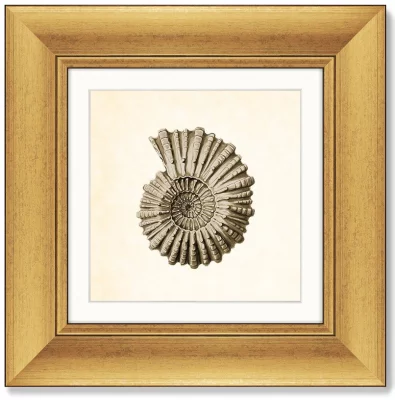 Диптих Marine life 36X36 / 36X36 CM 4