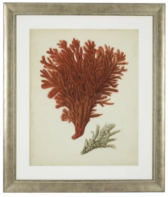Постеры Antique Red Corals 68X58 / 68X58 / 68X58 / 68X58 / 68X58 / 68X58 CM 7