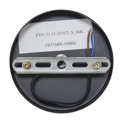 Подвесная люстра Lumi FR5524PL-04BBZ 12