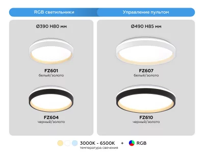 Накладной светильник Ambrella Light FZ604 12