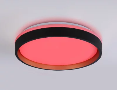 Накладной светильник Ambrella Light FZ604 6