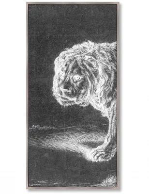 Репродукци из 3-х частей Lion 52X105 / 52X105 / 52X105 CM 3