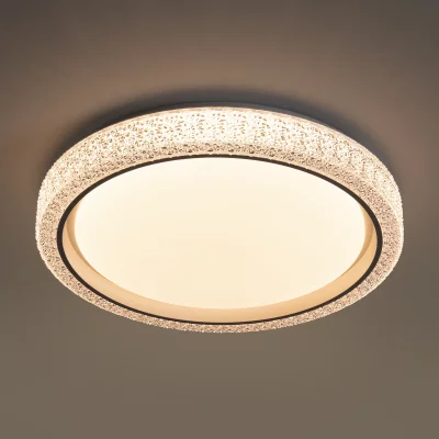 Потолочный светодиодный светильник Галла 49X49X8.5 CM 10