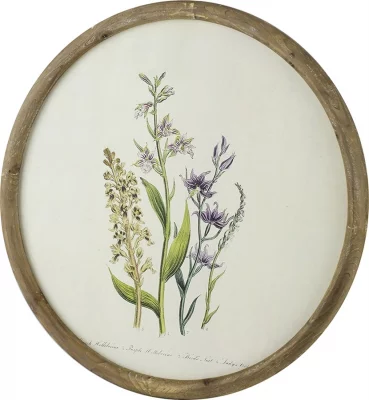 Постеры Flora Ø50 / Ø50 / Ø50 / Ø50 CM 6