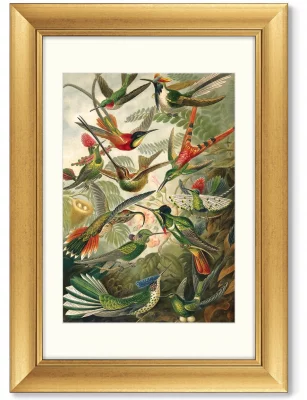 Диптих Art forms of nature 51X71 / 51X71 CM 3