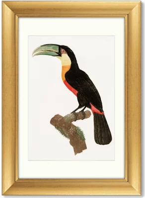Диптих Beautiful toucans 51X71 / 51X71 CM 4