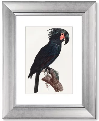 Диптих The Palm Cockatoo 41X51 / 41X51 CM 3
