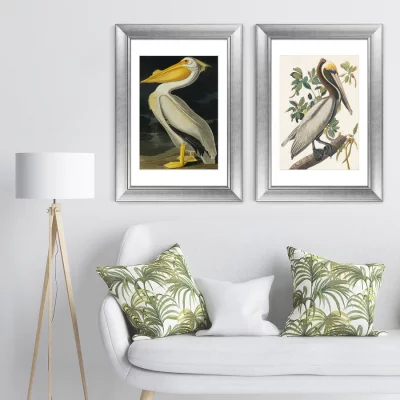 Постер American Brown Pelican 51X71 CM 7