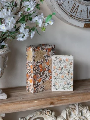 Набор из двух шкатулок в виде книг Danu 18X7X27 / 13X5X22 CM 8