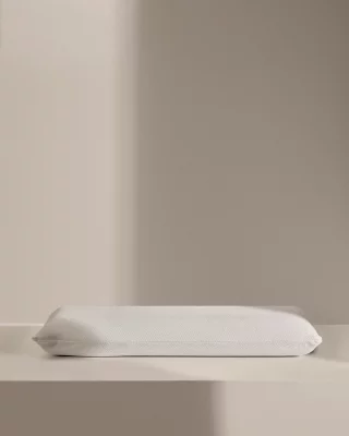 Вязкая ортопедическая подушка Sasa 33X90 CM 3