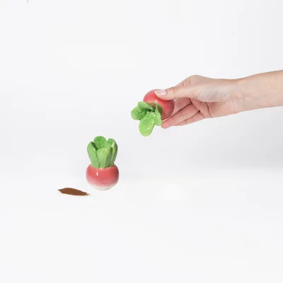 Набор из солонки и перечницы radish 8
