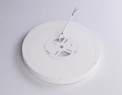 Накладной светильник Ambrella Light FZ1901 4
