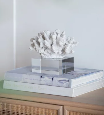 Декор Coral 21X19X16 CM 7
