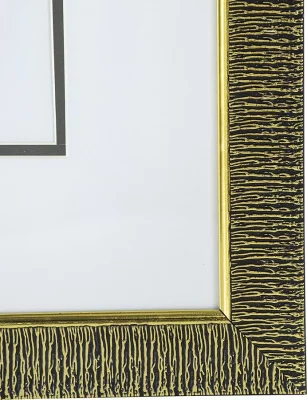 Комплект из двух постеров в раме Bird 50X70 / 50X70 CM 6