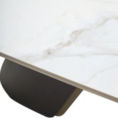 Стол обеденный Seltic 200X100X75 CM 5