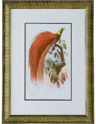 Диптих Birds of Paradise 60X80 / 60X80 CM 5