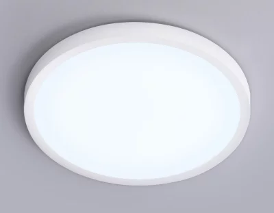 Накладной светильник Ambrella Light FZ1951 4