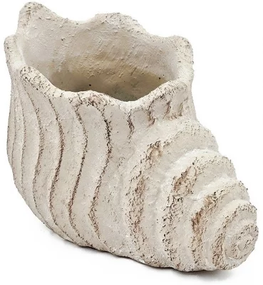 Кашпо Seashell 23X14X15 CM 3
