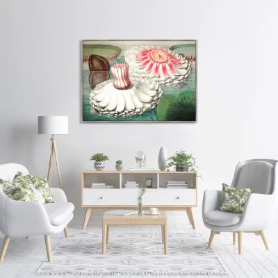 Постер Water lily during bloom 105X75 CM 3