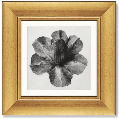 Набор постеров Lime Mallow 36X36 / 36X36 / 36X36 / 36X36 CM 6