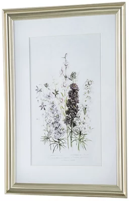 Постеры Wild flowers 42X62 / 60X80 / 42X62 CM 6