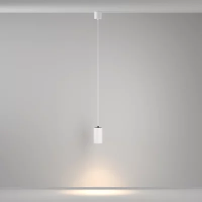 Подвесной светильник Вол 75X75X1195 CM 10