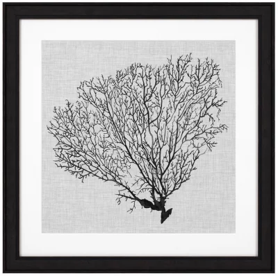 Постеры Shadow Sea Fans 62X62 / 62X62 / 62X62 / 62X62 CM 3
