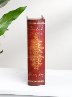 Шкатулка в виде книги Oengus 19X7X27 CM 6