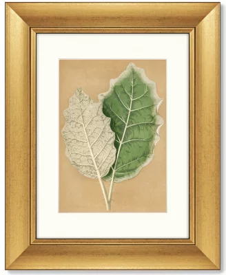 Диптих Cineraria Maritima 41X51 / 41X51 CM 4