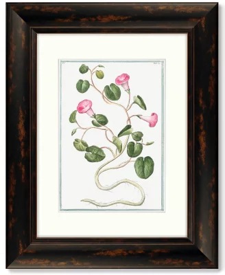 Диптих Botanical Maritimus 41X51 / 41X51 CM 3