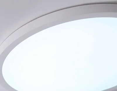 Накладной светильник Ambrella Light FZ1955 6