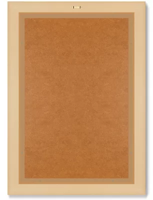 Диптих Date palm Phoenix dactylifera from Traité 51X71 /51X71 CM 8