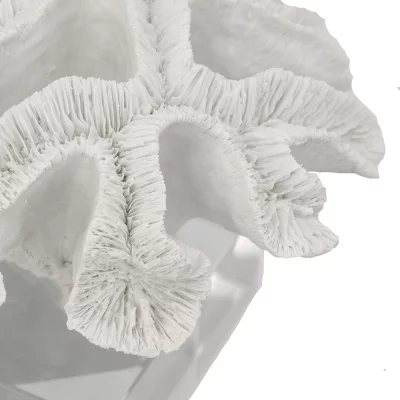 Декор Coral 23X22X16 CM 3