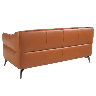 Двухместный диван с кожаной обивкой 171X95X77 CM 5
