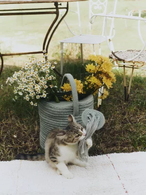 Корзина Watering can 51X26X38 CM 4