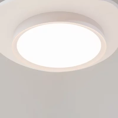 Потолочный светильник Инкогнито 9