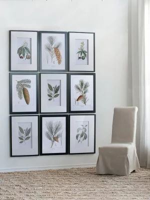 Комплект из двух постеров Flora 50X70 / 50X70 CM 10